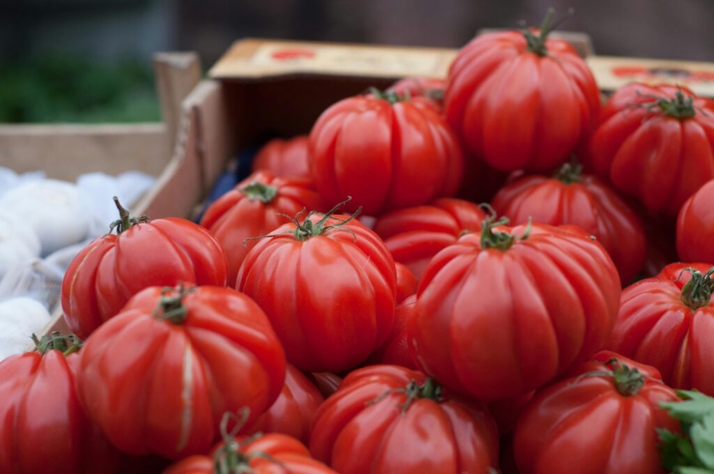 Seasonal Box of Tomatoes