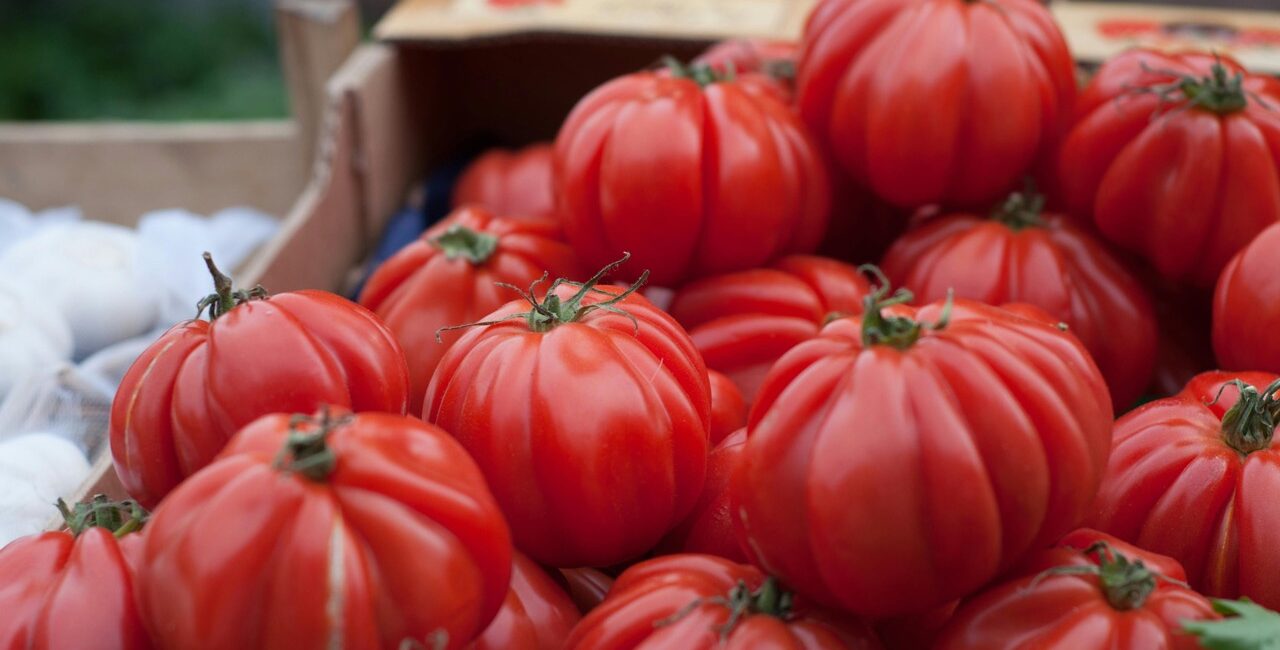 Seasonal Box of Tomatoes