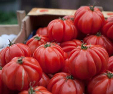 Seasonal Box of Tomatoes