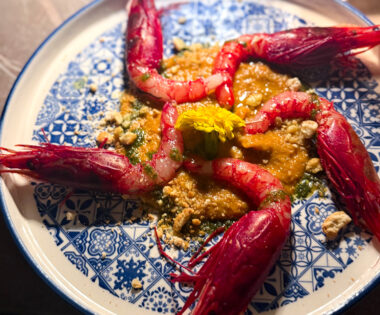 Discover Recipes