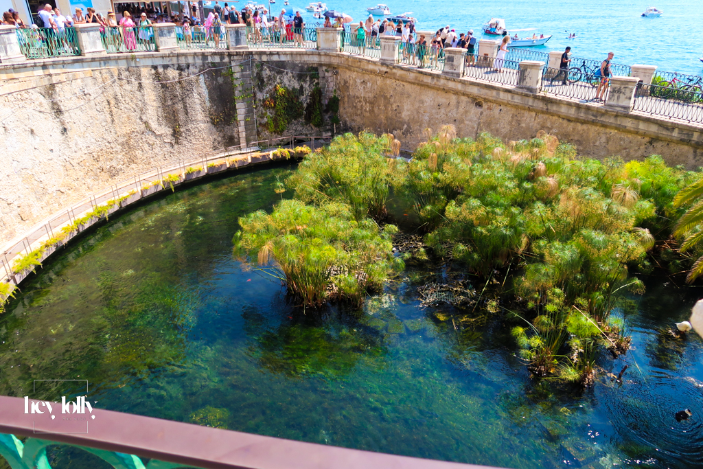 Fonte Aretusa freshwater pond with papyrus plants near the sea in Ortigia Sicily