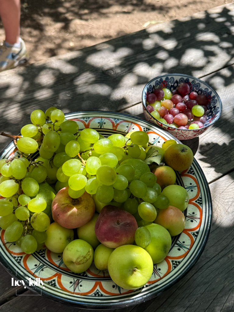 Basket of freshly harvested fruit for the garden-to-table cooking experience in Syracuse Sicily.