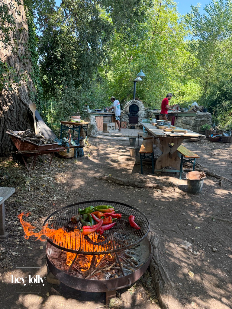 Outdoor fire prepared for traditional Sicilian cooking at Slow Life Family Farm in Syracuse Sicily.
