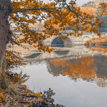 clumber-park-nottingham-ornamental-bridge