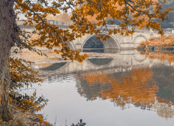 clumber-park-nottingham-ornamental-bridge