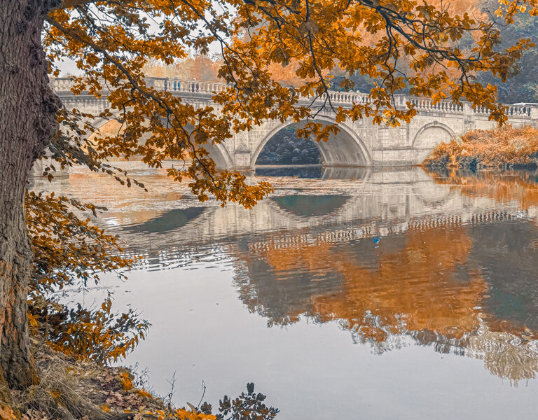 clumber-park-nottingham-ornamental-bridge