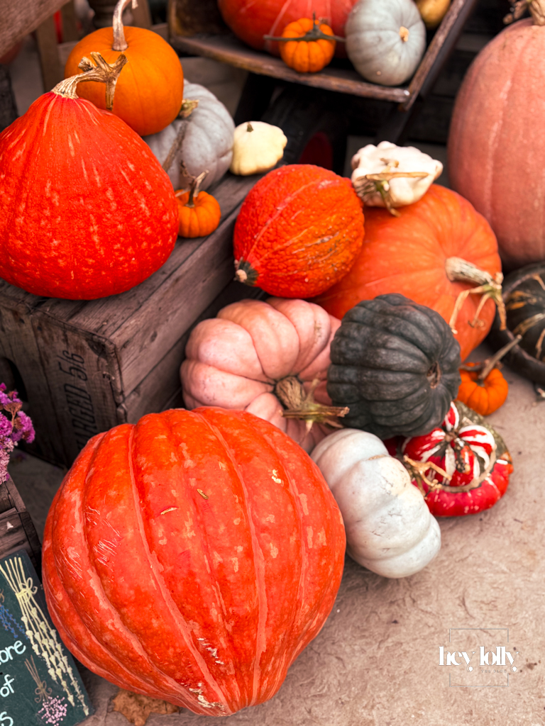Inside the glasshouse at Clumber Park walled kitchen garden, display of pumpkins.