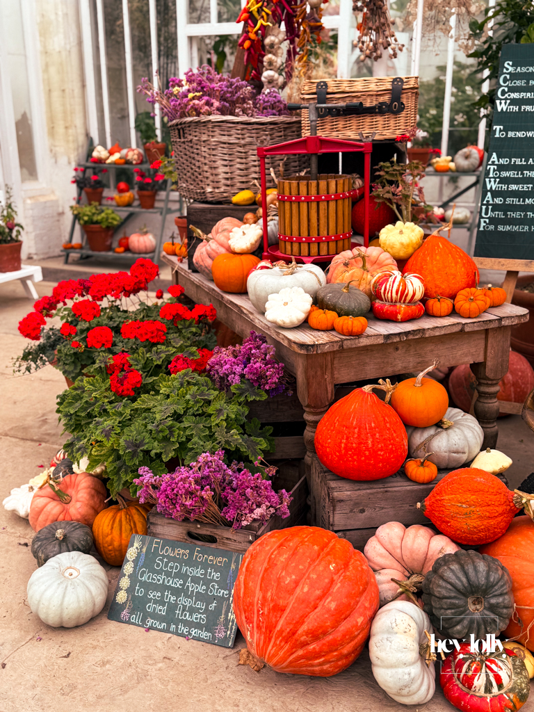 Inside the glasshouse at Clumber Park walled kitchen garden, pumpkins and chillies drying in warm autumn light.
