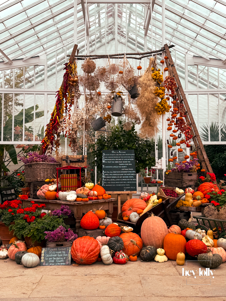 Inside the glasshouse at Clumber Park walled kitchen garden, pumpkins and chillies drying in warm autumn light.