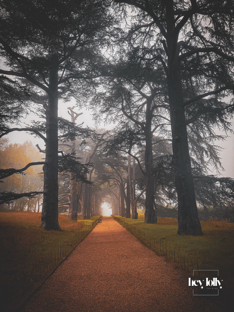 the walk to clumber park walled kitchen garden in the misty fog